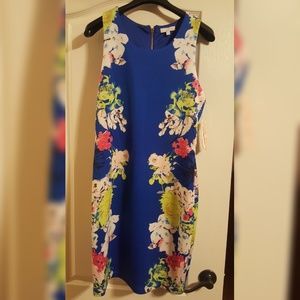 GB KNEE length dress!